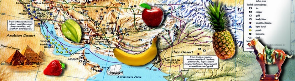 Практикум «Гарантії та акредитиви в банку: кейс-стаді за локальними та зовнішньо-економічними операціями»